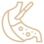 Cirurgias em quase todo o estado de Brasília
                        